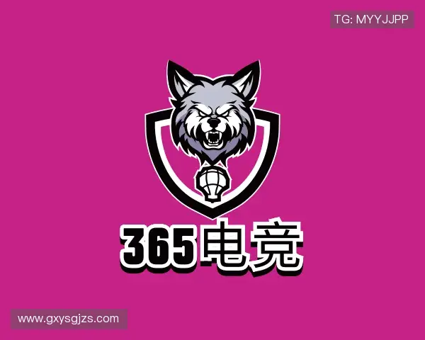 关于365电竞